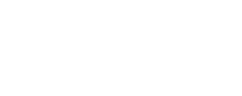 geoSYS